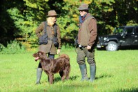 /album/flatcoat-zuchtruede/img-2642-jpg/