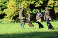 /album/flatcoat-zuchtruede/img-2617-jpg/